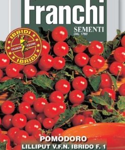 POMODORO Lilliput Ibrido F1