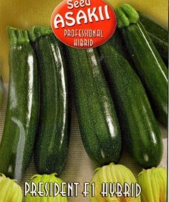 ZUCCHINO President Hybrid F1