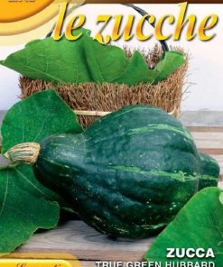 ZUCCA True Green Habbard