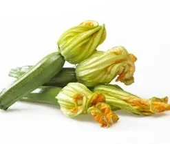 Zucchini Chiari con Fiore (Italia)